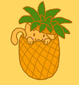 Pineapple Cat