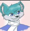 avatar from Blackwolf0369 by wolfstar124