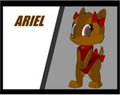 new puppy Ariel  by arineu
