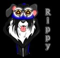 Rippy