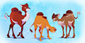 Mix-matched Camels Anonymous by stuffalso