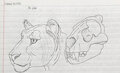 Lion Head Sketch