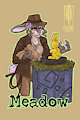 Meadow F2 2022 badge