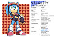 Profile: Velocity the Hedgehog by Hyoumaru