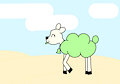 Petal the Sheep