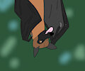 Flying Fox (Fruit Bat)