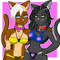 Beach Cats by Evilthabad