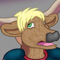 NFL TF #6: Toro the Bull