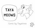 TAYA MEOWS cover