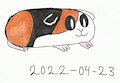 Guinea Pig Drawing Test