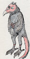 Vulture cockatrice ref by DatuKampilan