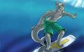 Wolfin Surfing