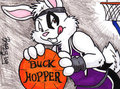 Badge - Buck Hopper