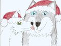 Christmas  by Tenshikitsune