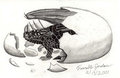 Baby black dragon by Scales4sale
