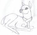 Yule Deer Sketch by NightWolf714