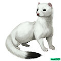 Ermine