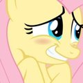 Fluttershy's accident