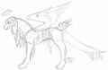 Angelic Dragon Sketch by NightWolf714