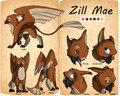 Zill Mae Character Sheet