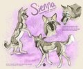 Commission - Sienna Reference