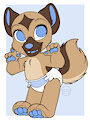 Chase the cute little German Shepherd Padded Non Padded