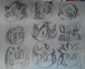 Sonic Character Drawing