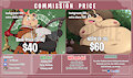 Commission Flier