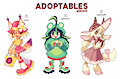 NEW ADOPTABLES!