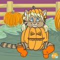 Pumpkin Icons 2012 - Charlotte Coon Kitty