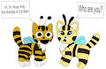 Bee Cat meeting Bootleg