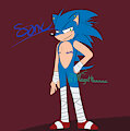 My Sonic Design