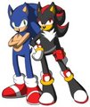 Sonic Underground REBOOT - Sonic and Shadow