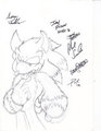 signed werehog drawing