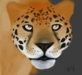 Jaguar Speedpaint - WIP by GlitchScatter