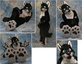 Fursuit by Lacy & Nick by Shadow