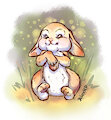 Cute feral Bunny