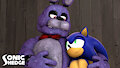 Sonic and his Rabbit Freind THREE - 2020 Full Set