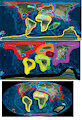 Multituberculate Earth: Paleocene, Eocene and Oligocene maps