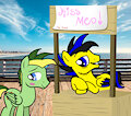 (Collab) the kissing booth on the beach of PonySeb 2.0