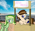 (Collab) the kissing booth on the beach by Seb the Pony