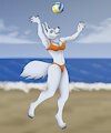 Volleyball Wolf