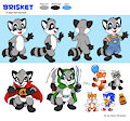 Brisket raccoon full reference by BrisketRingtail