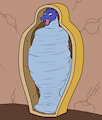 Charizards Egyptian Cocoon