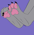 wolf paws