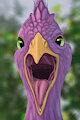 Peacock Jaws