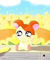 Hamtaro in Flower Ranch