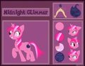 Midnight Glimmer Ref *Commission*
