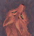 Red wolf by lOcelotkal