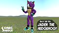 Introducing: Jaden The Hedgehog! 2021 Reupload